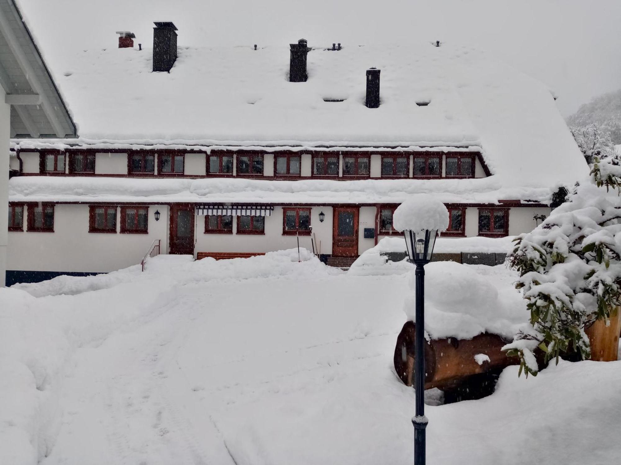 Ferienwohnungen Haus Hees Todtnau Exterior foto